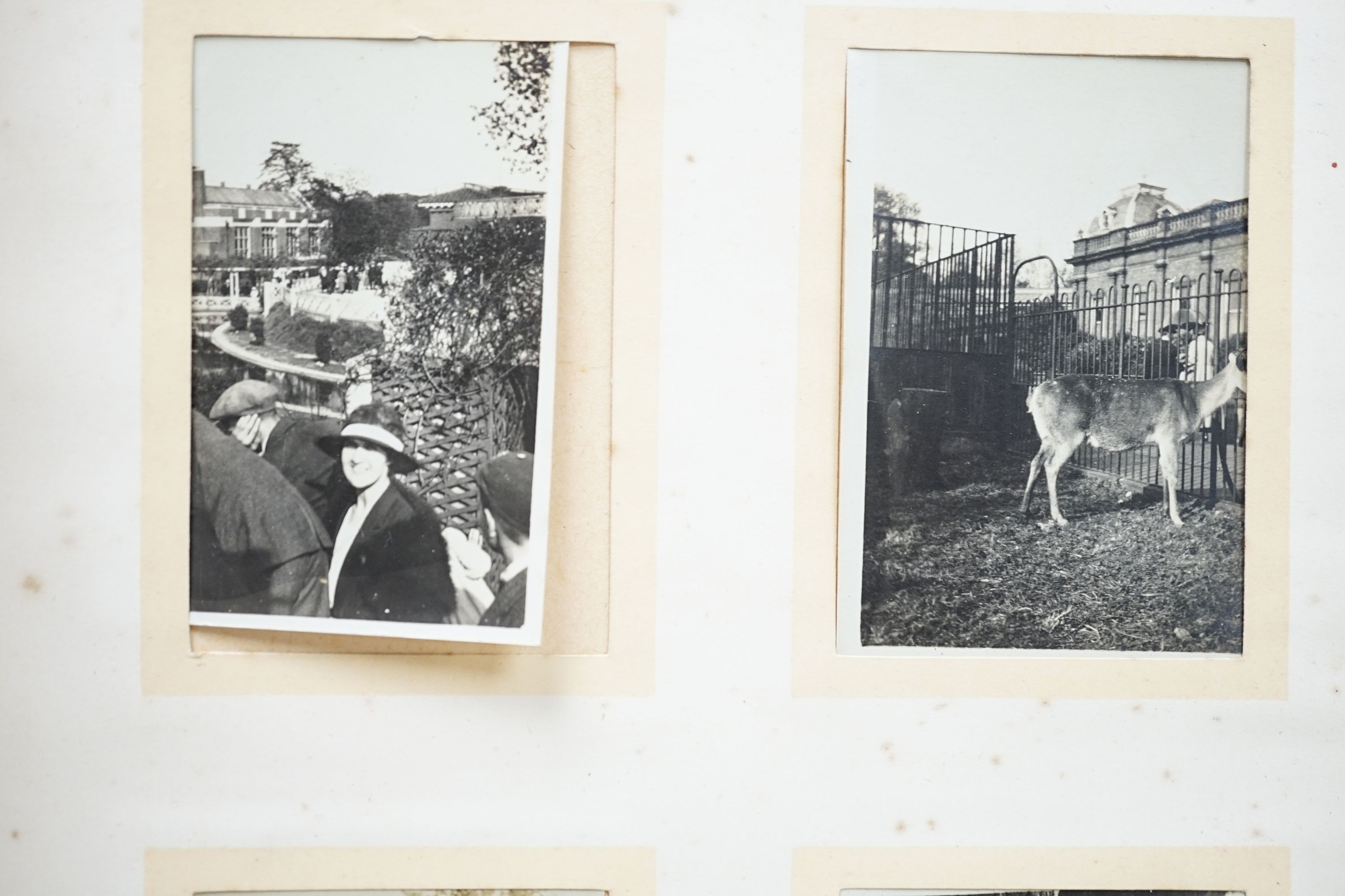 Two photo albums, India 1918 and 1919 and another, domestic 1916